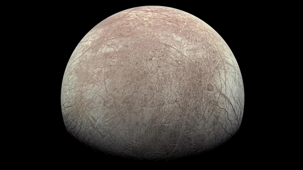 Biosignatures Could Survive Near The Surfaces of Enceladus and Europa
