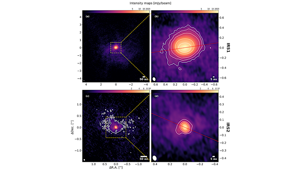 Early Planet Formation in Embedded Disks (eDisk). XI. A High-resolution View Toward the BHR 71 Class 0 Protostellar Wide Binary