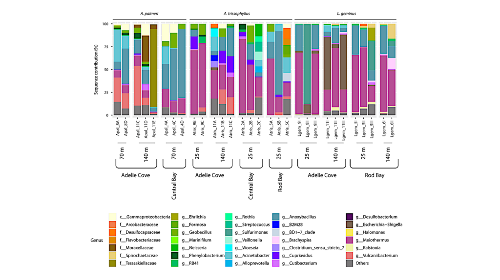 Genetic Clues To Freezing Resistance In Antarctic Life Forms