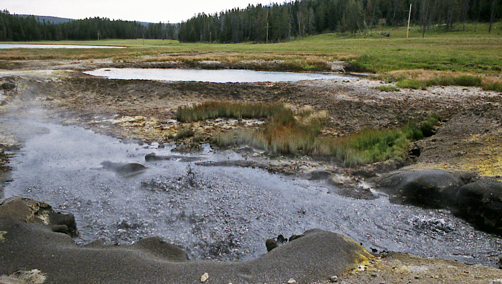 Geographic and Ecological Diversity of Green Sulfur Bacteria in Hot Spring Mat Communities