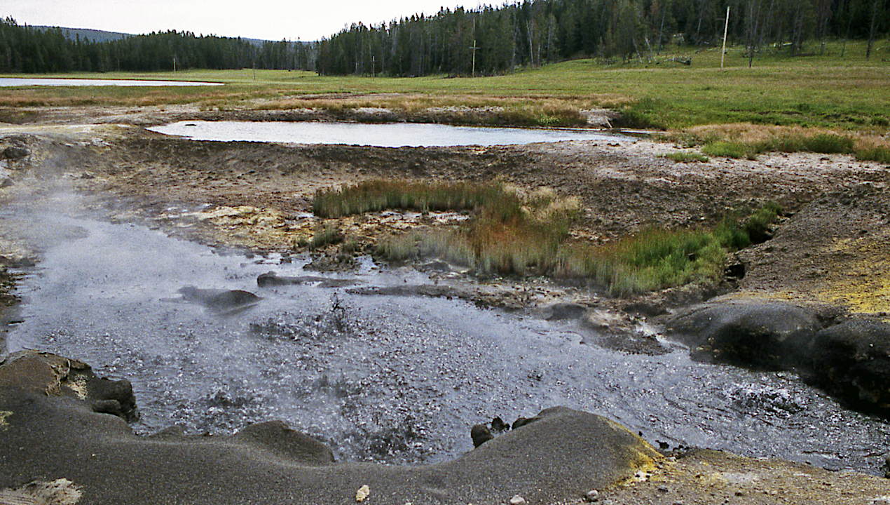 Geographic and Ecological Diversity of Green Sulfur Bacteria in Hot Spring Mat Communities