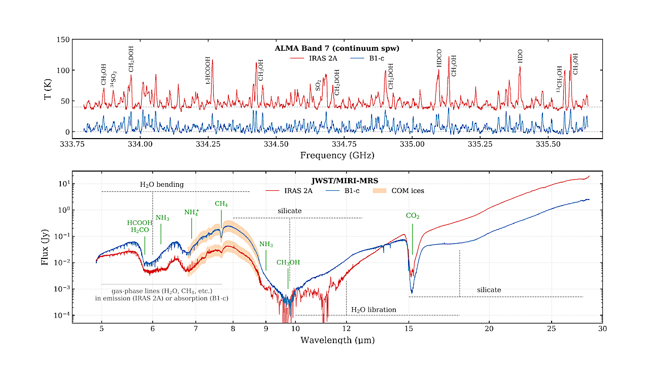 JOYS+: Link Between Ice And Gas Of Complex Organic Molecules. Comparing JWST and ALMA Data of Two Low-mass Protostars