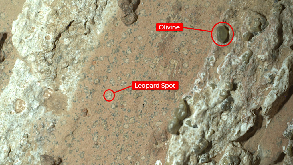 Mars Perseverance Rover Imagery Of A Rock With Possible Biosignatures