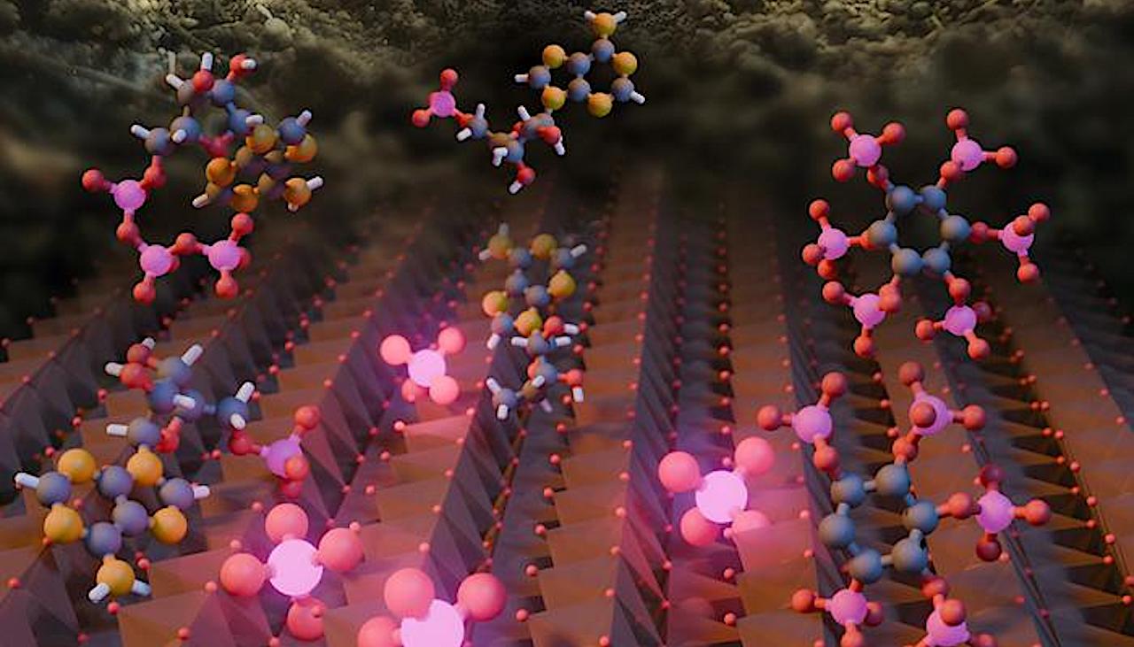 Minerals Play A Newly Discovered Role In Earth’s Phosphorus CycleNorthwestern UniversityMinerals Play A Newly Discovered Role In Earth’s Phosphorus Cycle