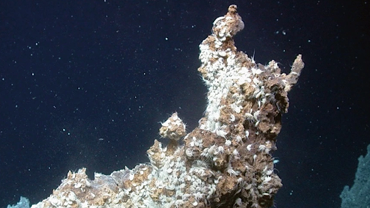 Newly Discovered Hydrothermal Vents At Depths Of 3,000 Meters Off Svalbard