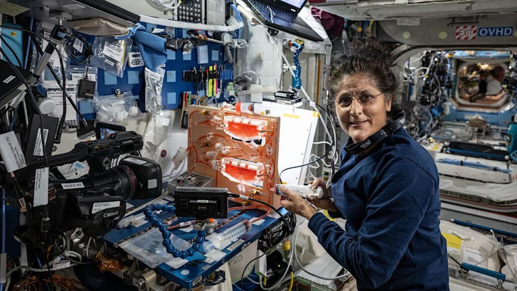 Offworld Plant Biology Research On The International Space Station