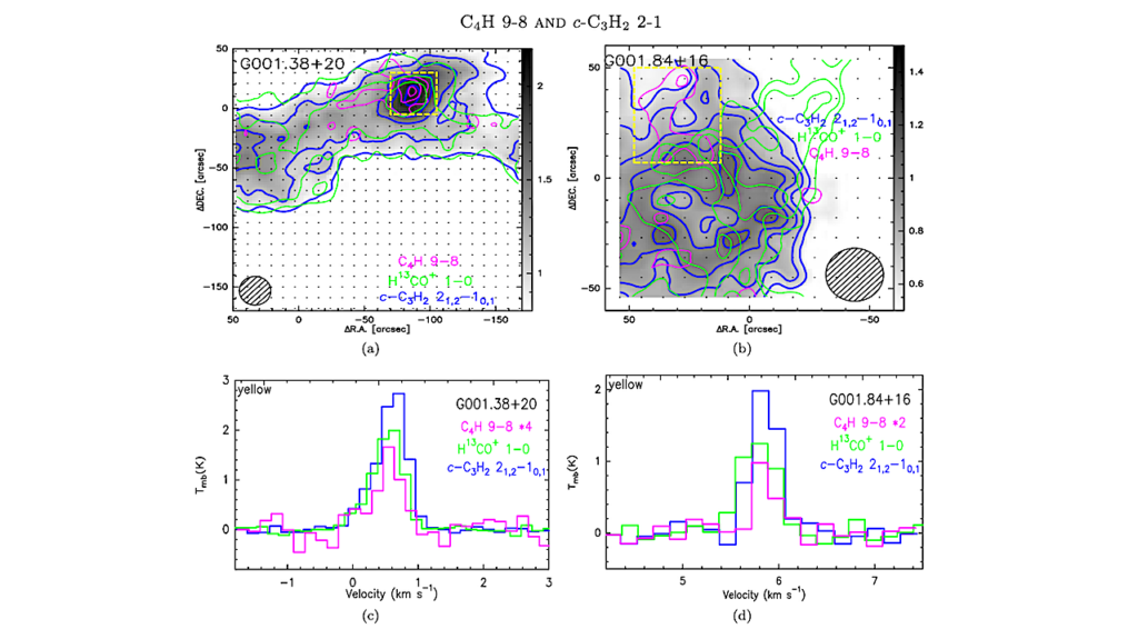 Spatial Distribution of C4H and c-C3H2 in Cold Molecular Cores