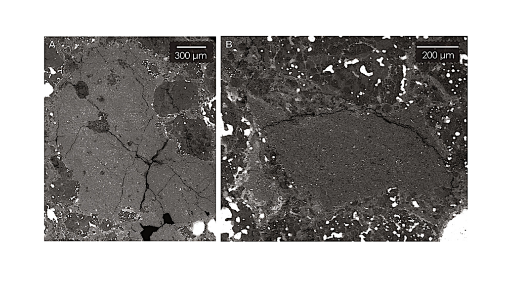 The Nucleosynthetic Fingerprint of the Outermost Protoplanetary Disk and Early Solar System Dynamics