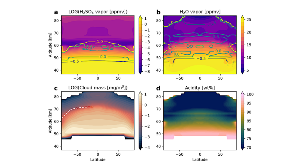 Three-Dimensional Venus Cloud Structure Simulated by a General Circulation Model