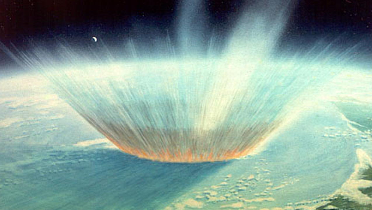 The Chicxulub Impactor Was A Carbonaceous-type Asteroid From Beyond Jupiter