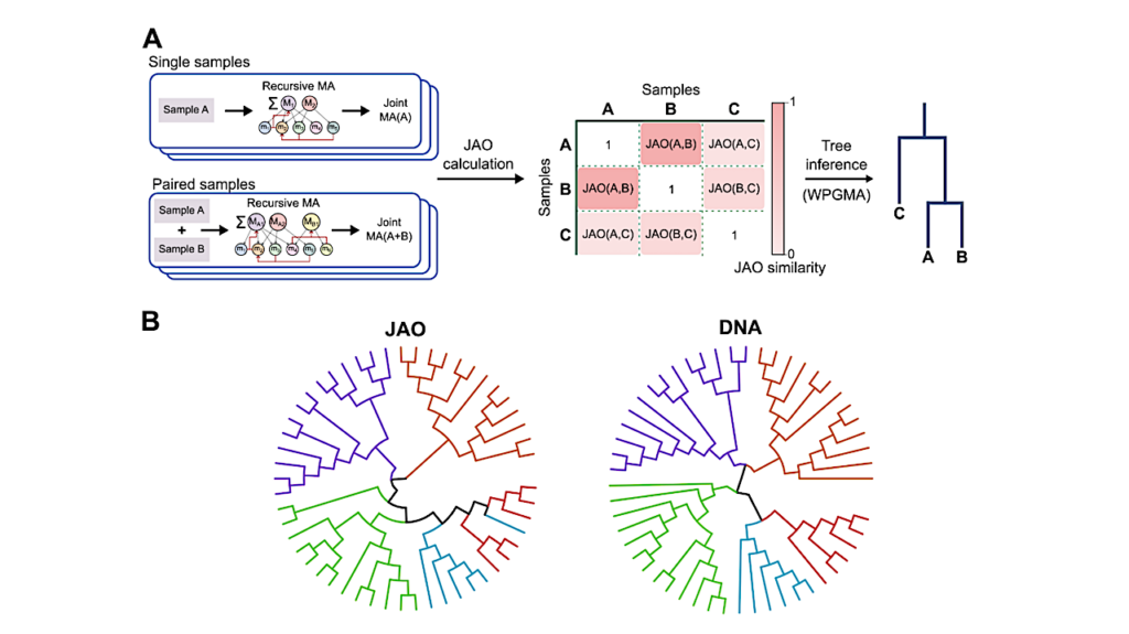 Constructing the Molecular Tree of Life using Assembly Theory and Mass Spectrometry