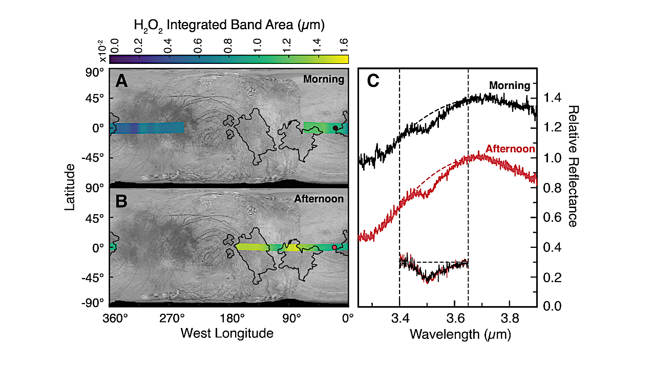 Europa’s H2O2: Temperature Insensitivity and a Correlation with CO2