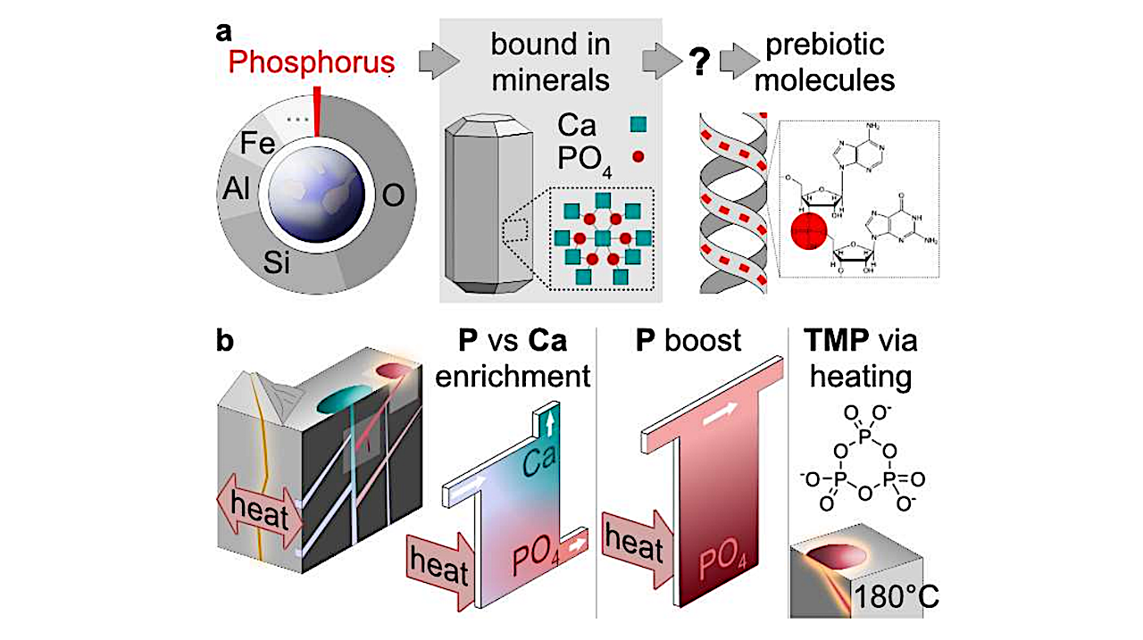 Heat Flows Solubilize Apatite To Boost Phosphate Availability For Prebiotic Chemistry