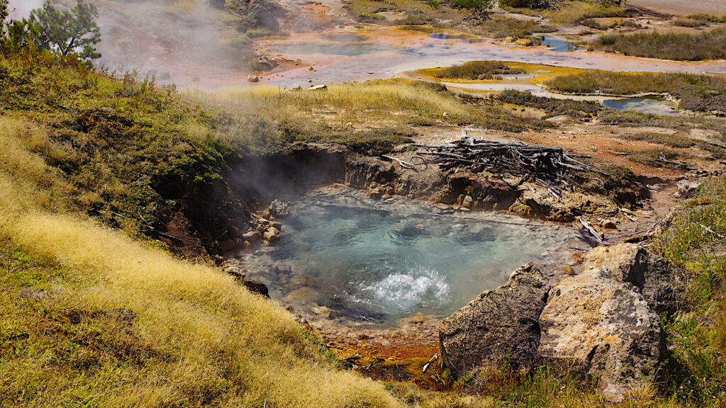 New Groups Of Methane-producing Organisms Identified In Yellowstone National Park