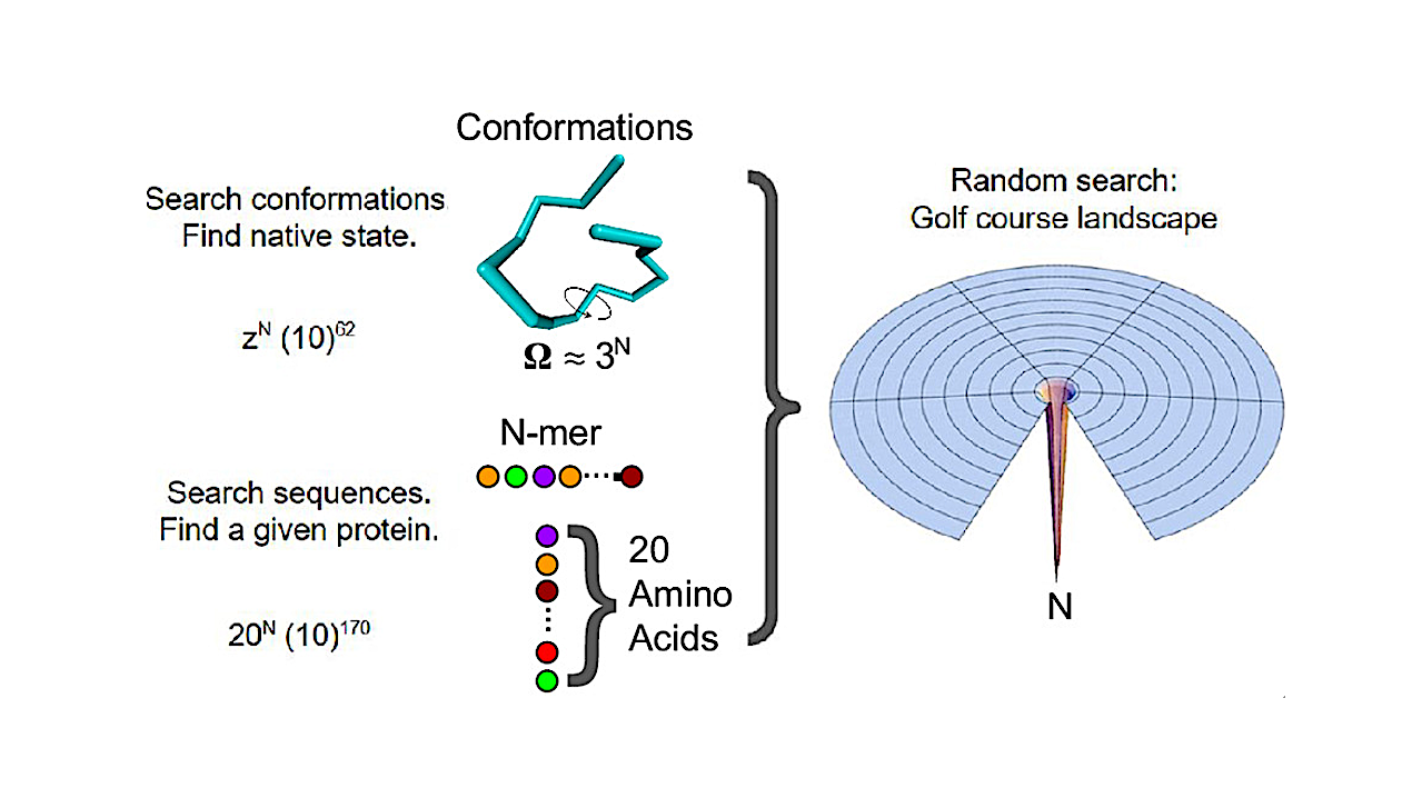 Origins Of life: The Protein Folding Problem All Over Again?