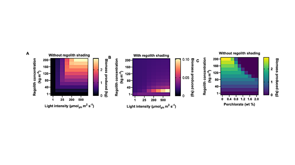 Resource-efficiency Of Cyanobacterium Production On Mars: Assessment And Paths Forward