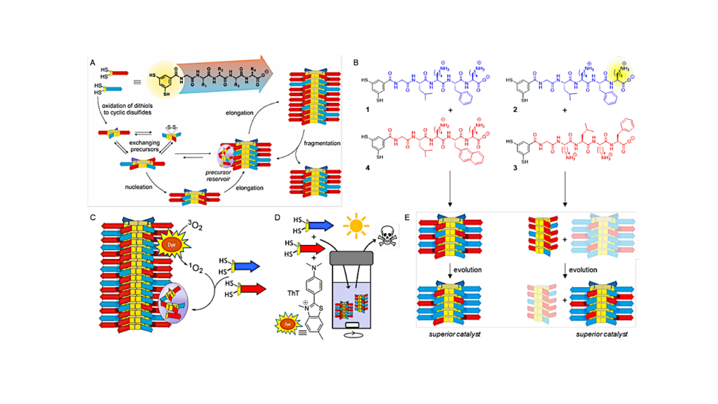 Selection for Photocatalytic Function through Darwinian Evolution of Synthetic Self-Replicators