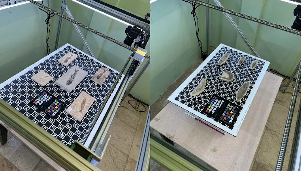 Tricorder Tech: Digitizing Earth’s Fossil Record With Low-cost 3D Scanning