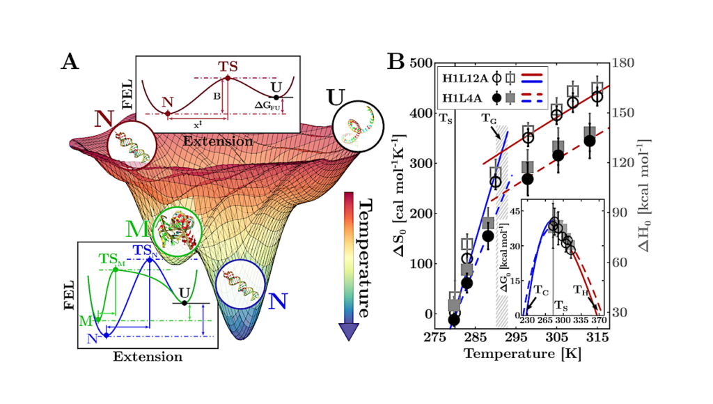 A New Biochemistry For RNA At Low Temperatures