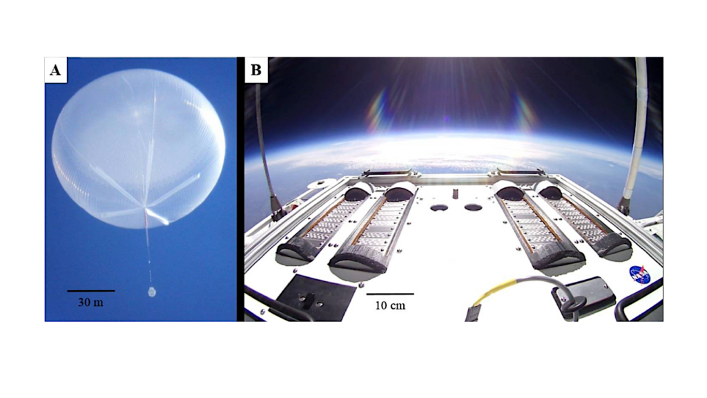 Astrobiology Aloft: Ballooning for Biologists: Mission Essentials for Flying Life Science Experiments to Near Space on NASA Large Scientific Balloons