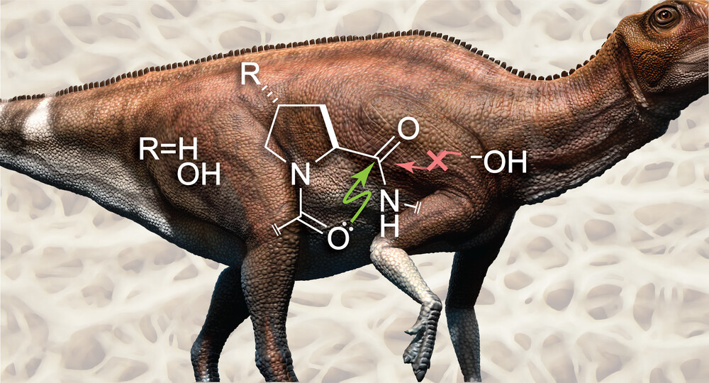 Biosignature Update: Why Dinosaur Collagen May Have Survived For Over A Hundred Million Years