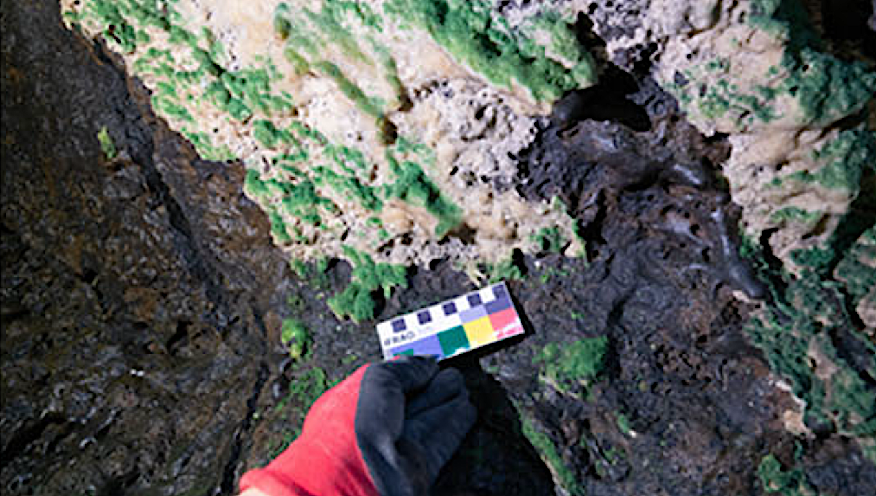 Decoding Organic Compounds In Lava Tube Sulfates To Understand Potential Biomarkers In The Martian Subsurface