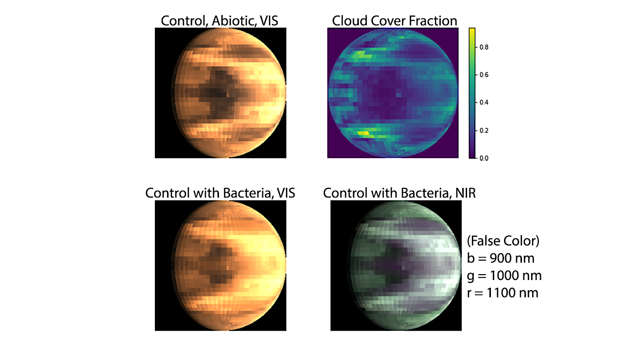 Detectability Simulations of a NIR Surface Biosignature on Proxima Centauri b with Future Space Observatories