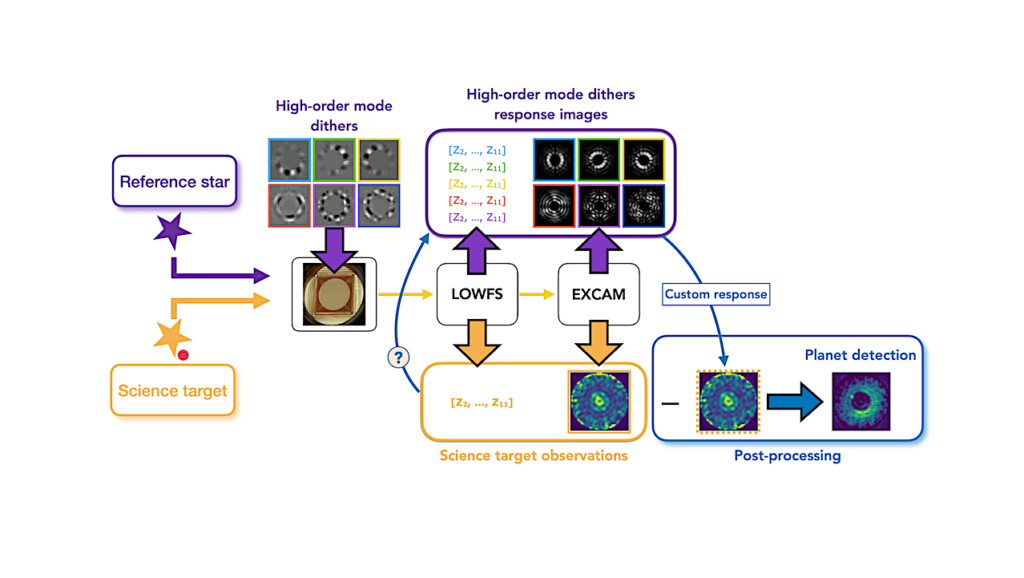 ESCAPE Project: Investigating Active Observing Strategies and Post-processing Methods for Exoplanet High-contrast Imaging with Future Space Missions