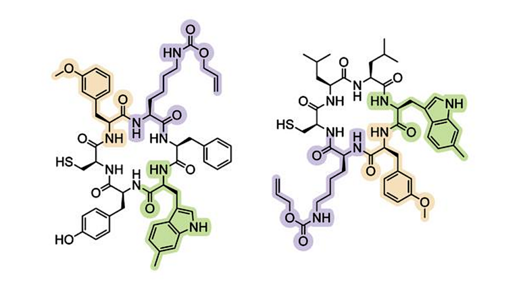 Earth Life’s Genetic Alphabet Has Been Expanded To Create Novel Proteins