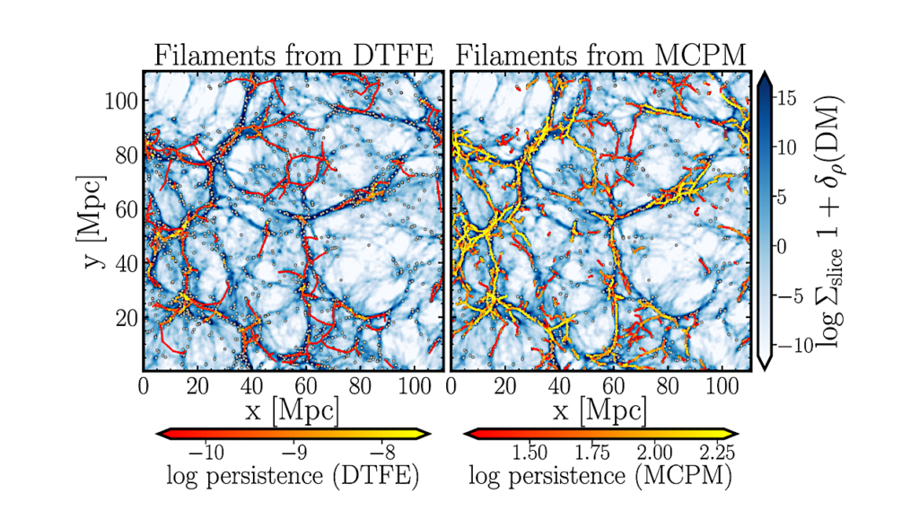 Filaments Of The Slime Mold Cosmic Web and How They Affect Galaxy Evolution