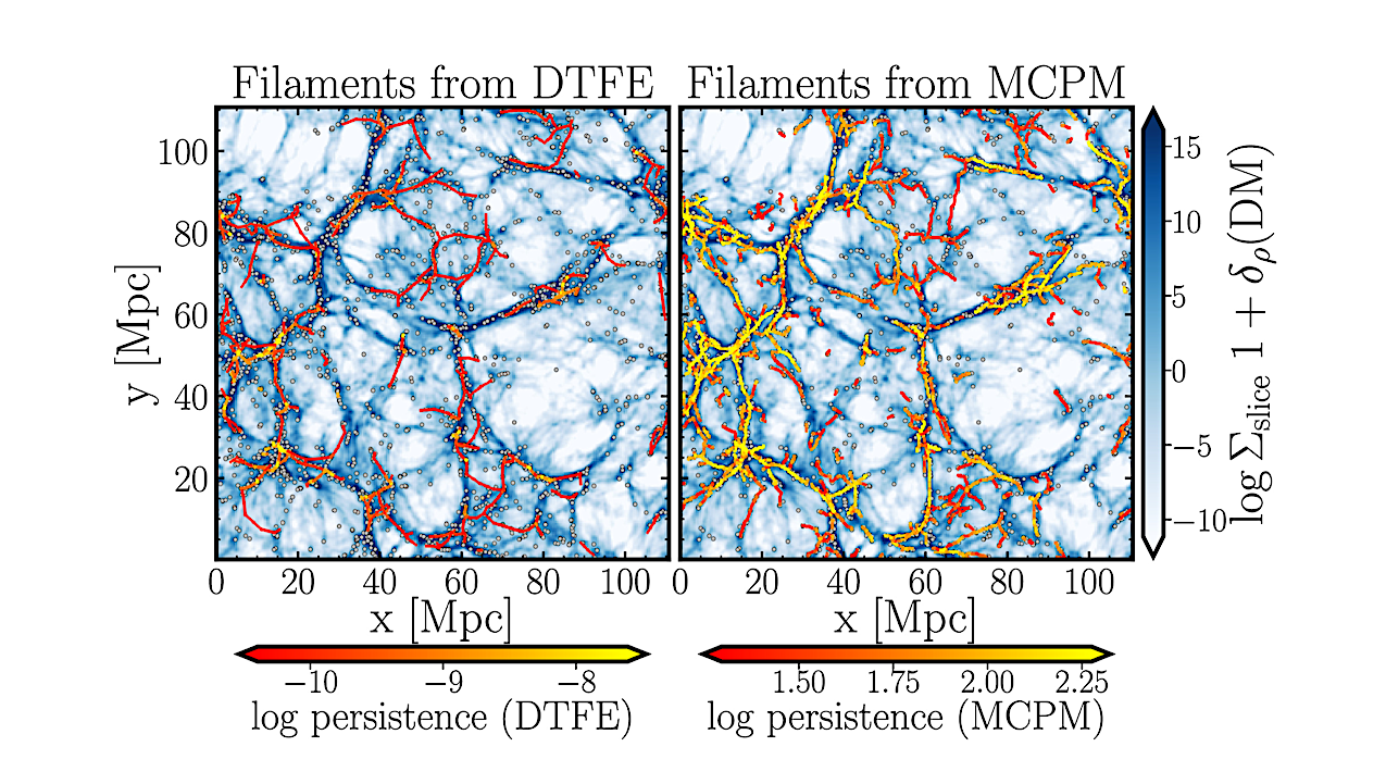 Filaments Of The Slime Mold Cosmic Web and How They Affect Galaxy Evolution