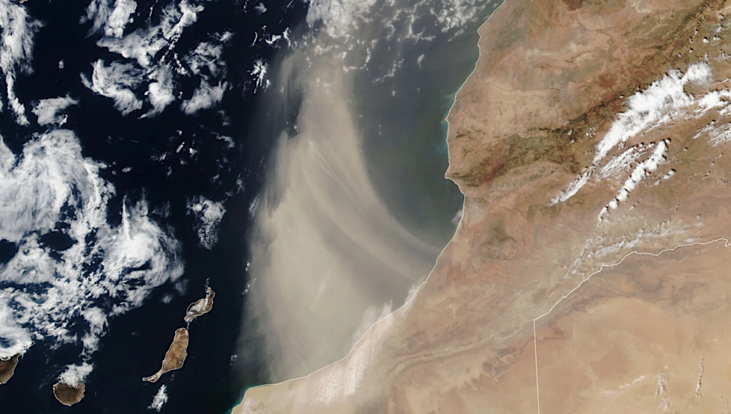 Life In The Atlantic Ocean Thrives Due To Windblown Saharan Dust