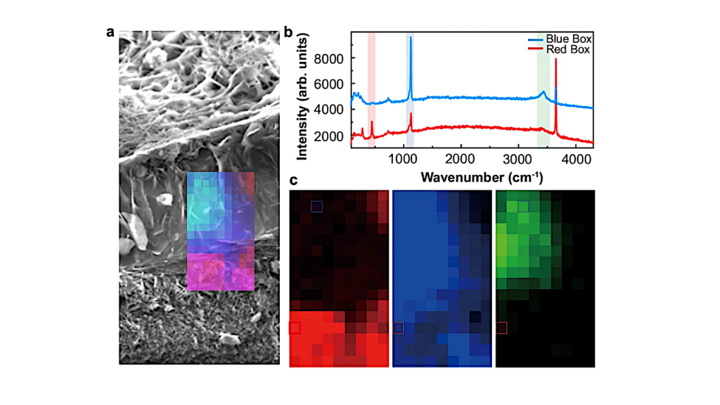 Nanostructures In The Deep Ocean Floor Hint At Life’s Origin