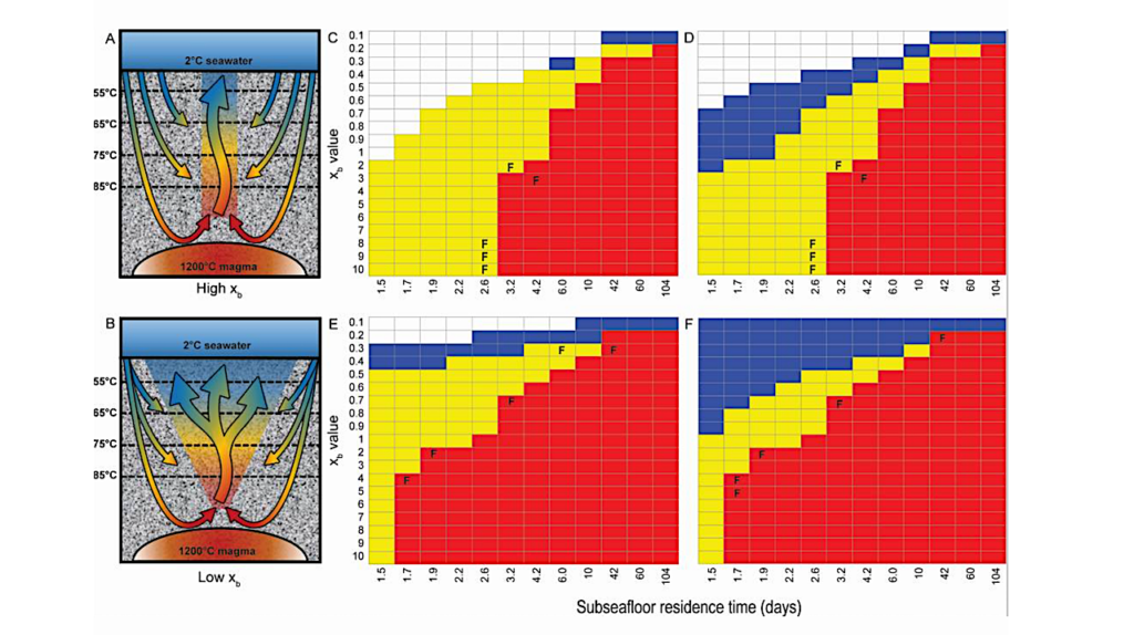 Non-thermodynamic Factors Affect Competition Between Thermophilic Chemolithoautotrophs From Deep-sea Hydrothermal Vents