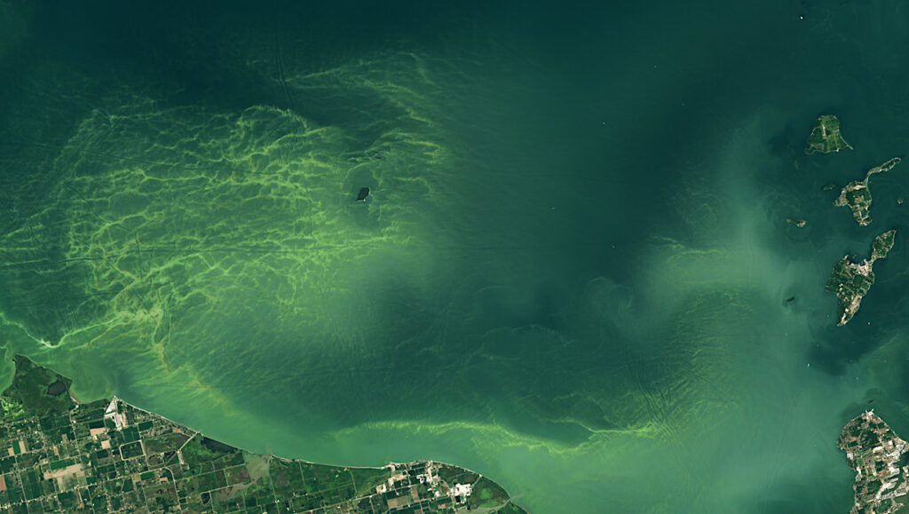 Orbital Biosignature Survey: Lake Erie Algal Bloom