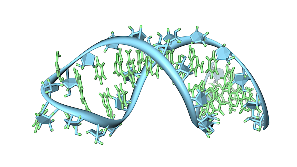 RNA World: Overcoming Nucleotide Bias In The Nonenzymatic Copying Of RNA Templates