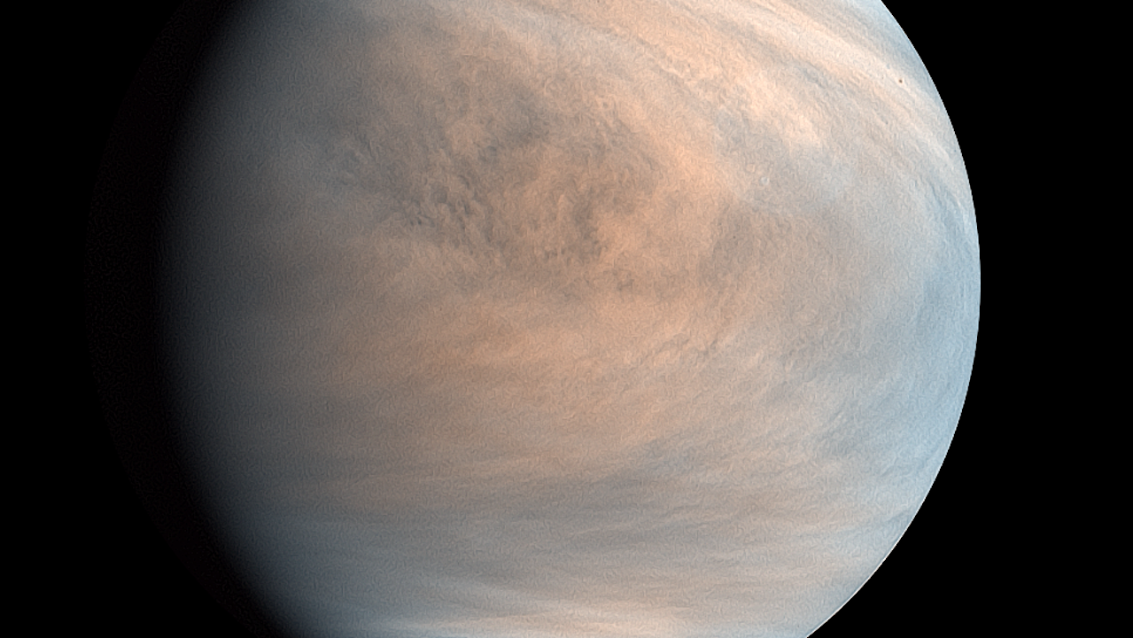 Stability of 20 Biogenic Amino Acids in Concentrated Sulfuric Acid: Implications for the Habitability of Venus’ Clouds