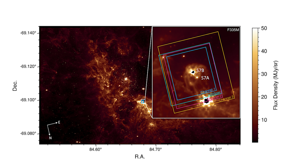 A Study of Polycyclic Aromatic Hydrocarbon Emission in 30 Dor as seen by JWST