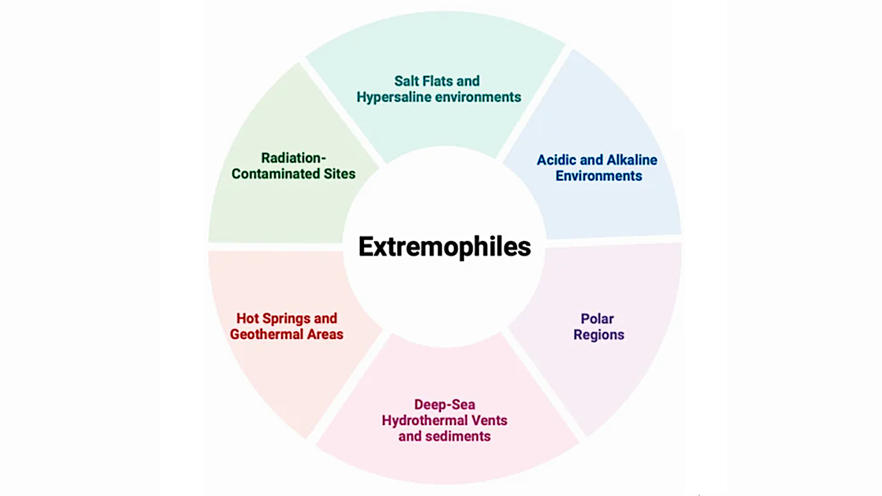 Advances in Extremophile Research: Biotechnological Applications through Isolation and Identification Techniques