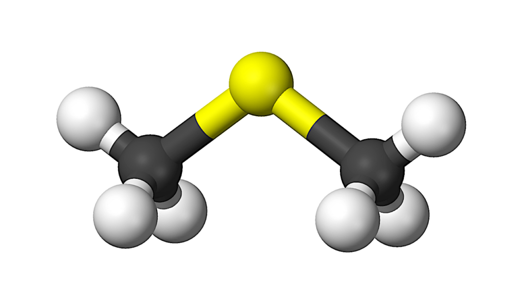 Evidence For Abiotic Dimethyl Sulfide In Cometary Matter