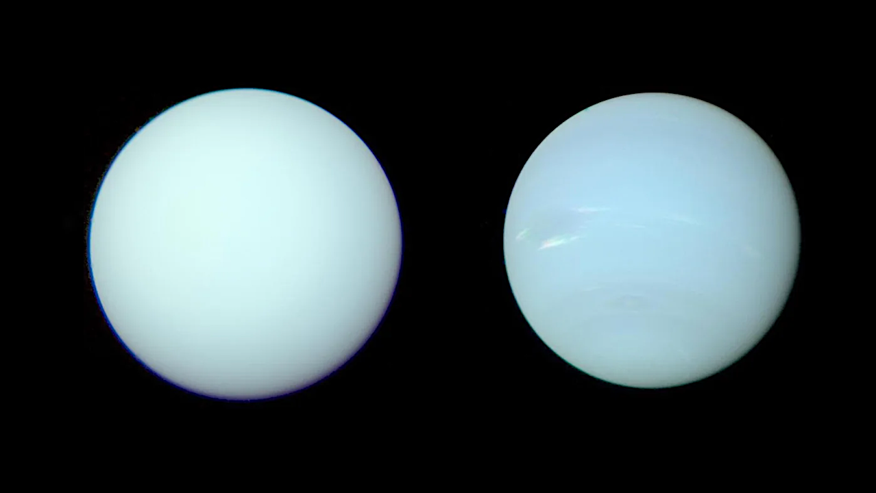 H2-H2O Demixing In Uranus And Neptune: Adiabatic Structure Models