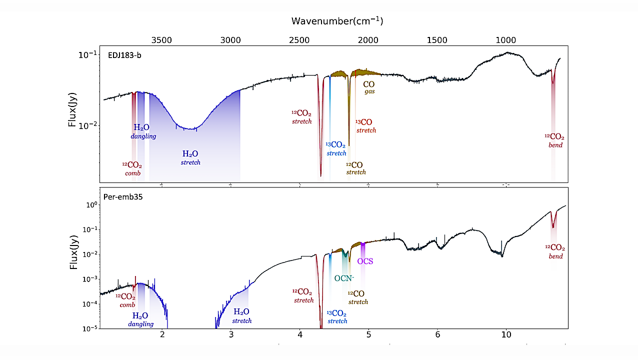 JOYS+ Study Of Solid State 12C/13C Isotope Ratios In Protostellar Envelopes: Observations of CO and CO2 Ice with JWST