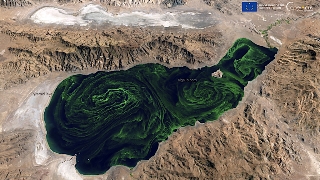 Orbital Biosignature Survey: Algal Bloom In Lake Pyramid