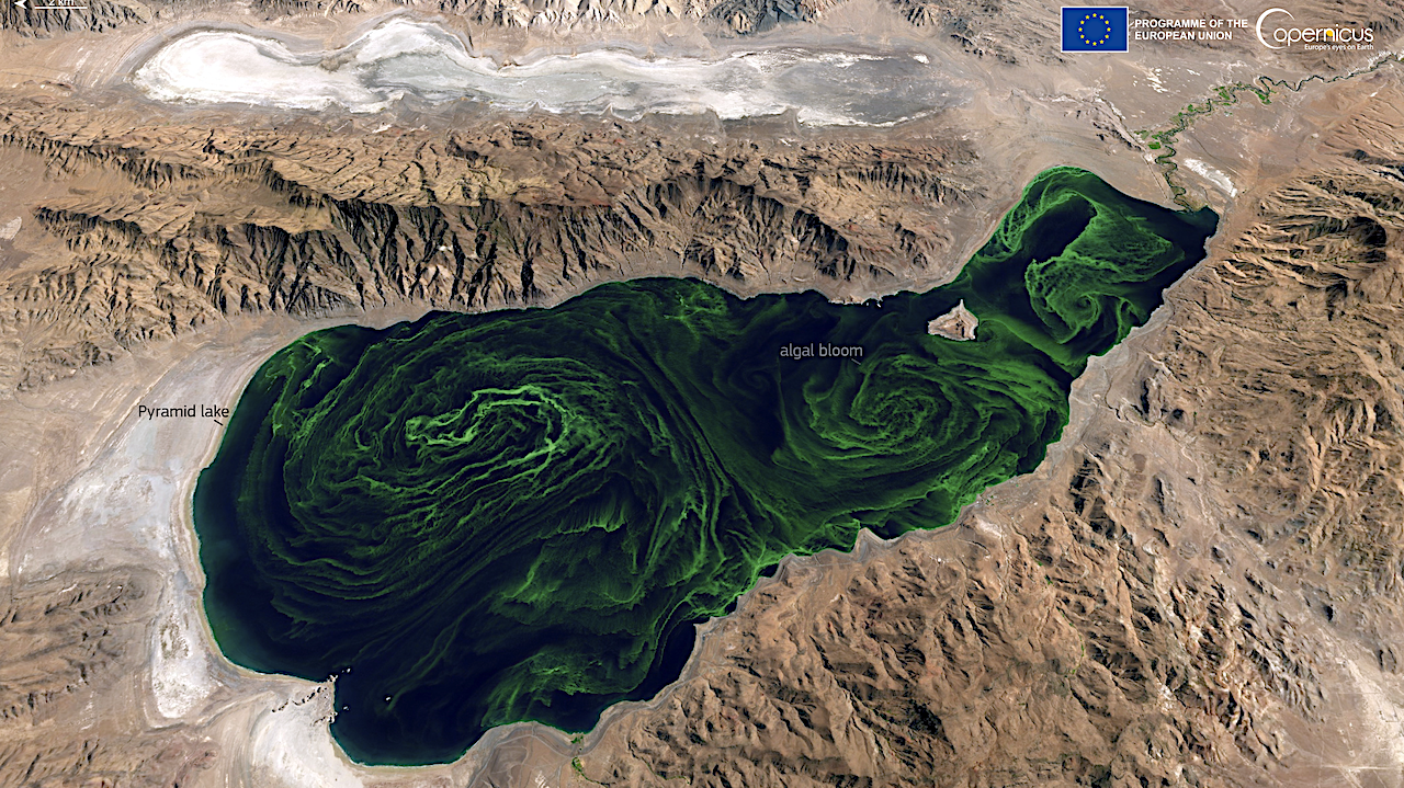 Orbital Biosignature Survey: Algal Bloom In Lake Pyramid