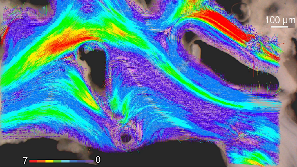 Osmotic Energy Conversion Discovered in Hydrothermal Vents Provides Clues to Life’s Beginnings