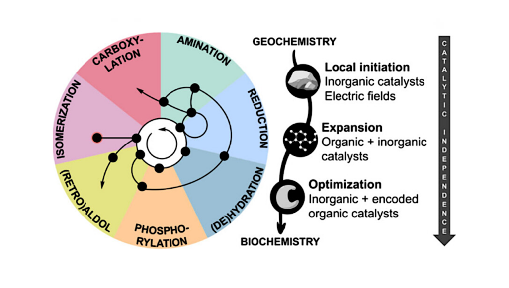 Pinpointing Conditions for a Metabolic Origin of Life: Underlying Mechanisms and the Role of Coenzymes