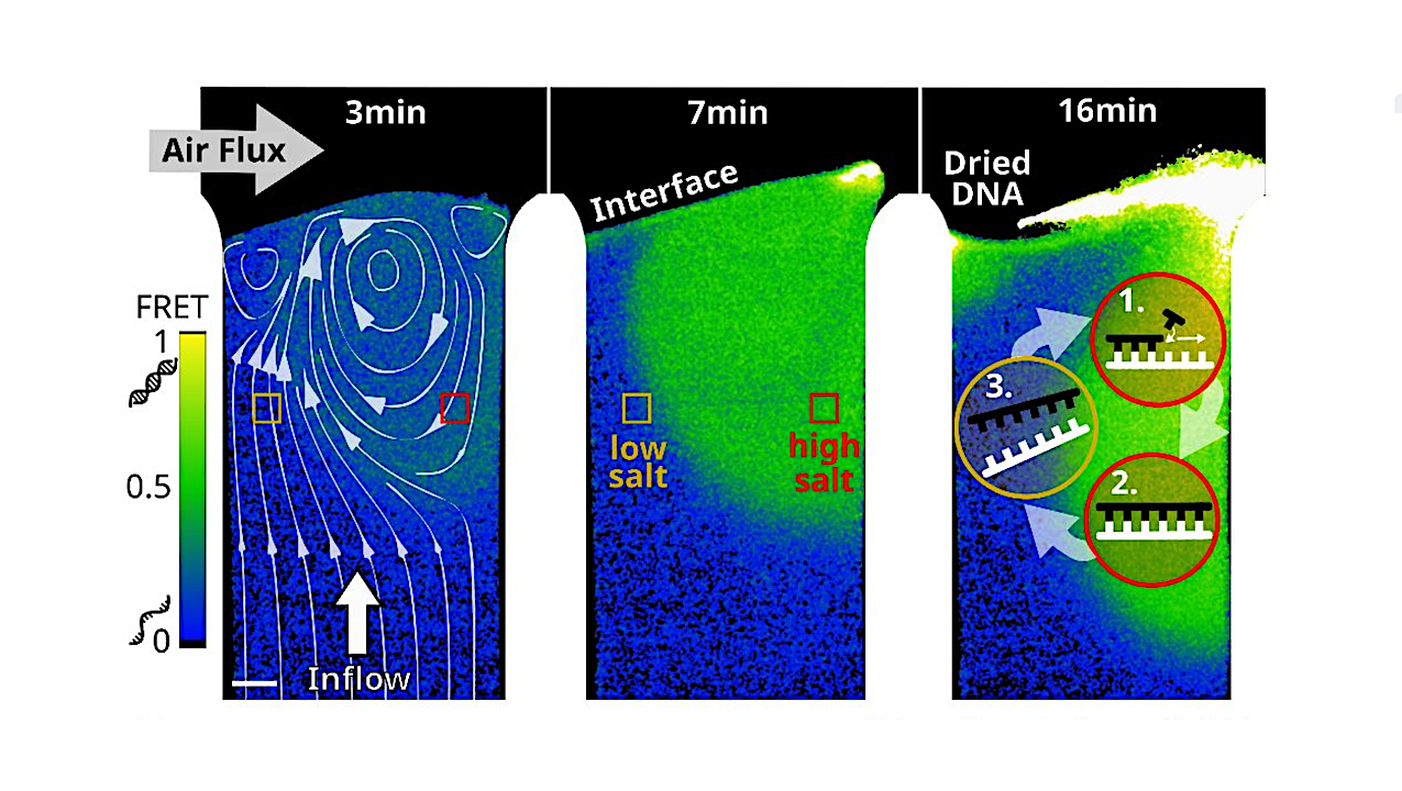 Prebiotic Gas Flow Environment Enables Isothermal Nucleic Acid Replication