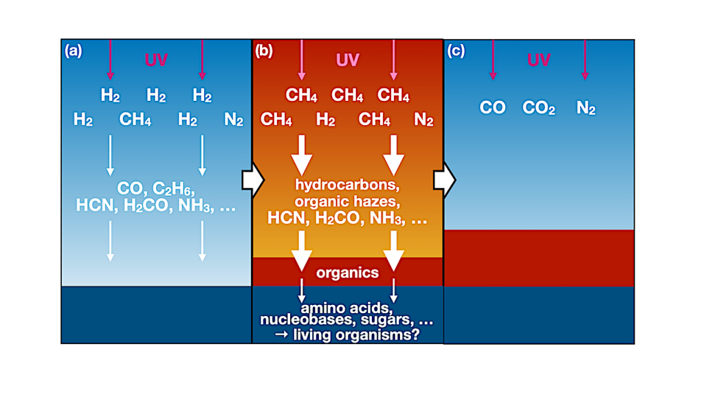 Self-Shielding Enhanced Organics Synthesis in an Early Reduced Earth’s Atmosphere