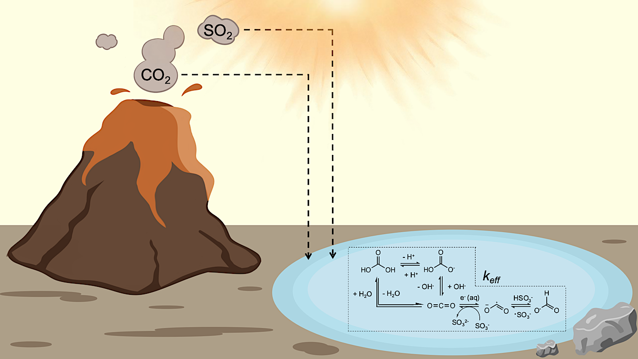 Shedding A Light On The Kinetics Of The Carboxysulfitic Scenario