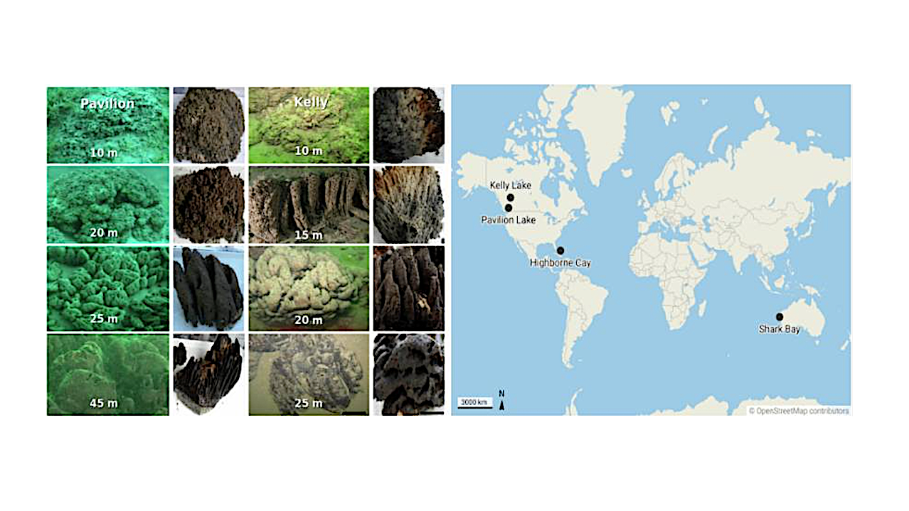 The Eukaryome Of Modern Microbialites Reveals Distinct Colonization Across Aquatic Ecosystems